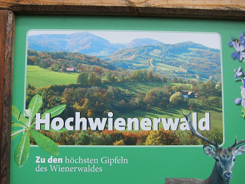 hochwienerwald